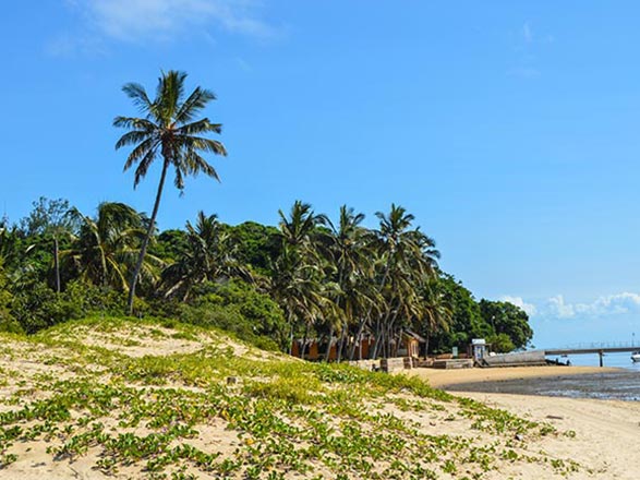 Portuguese Island